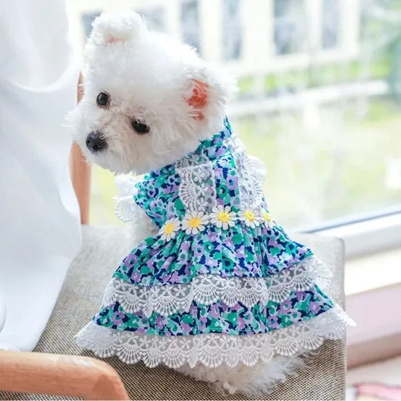 Small Pet Puppy Dog Lace Skirt Princess Dress Summer Clothes - Picture 4 of 6